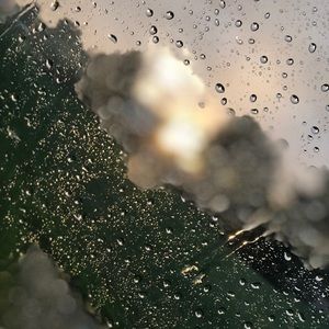 Meet your Posher, Alianna